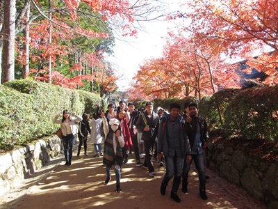 高野山賞楓-日本留學,日本留學費用,日本留學打工,日本留學獎學金 日本留學推薦 日本留學代辦 日本語言學校推薦 日本遊學 日本大學研究所 日本語言學校費用 日本每月生活費 關東生活費 關西生活費 九州生活費 日本打工月薪